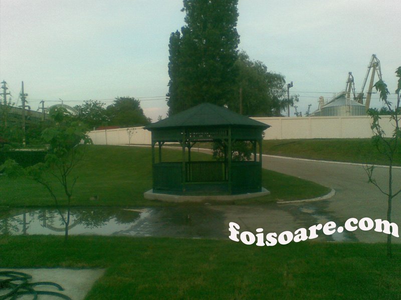 IMAGINI FOISOARE